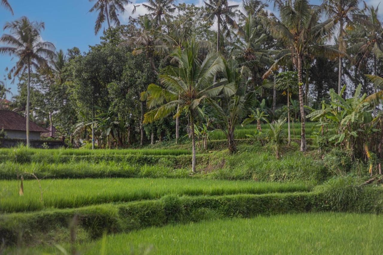 Suara Air Luxury Ubud